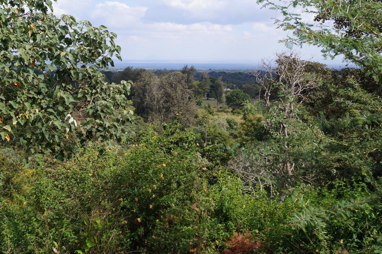 Arusha Villa Karamu Coffee Estate Usa River Exteriör bild